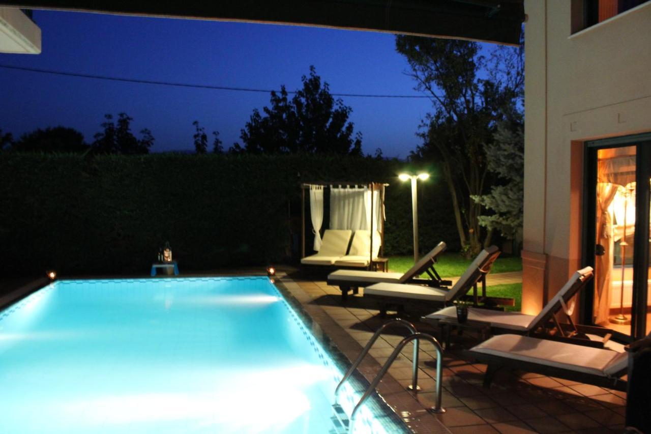4-Seasons Pool Villa Near Meteora Tríkala Extérieur photo